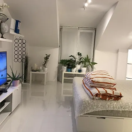 Europe Travel Point 5*